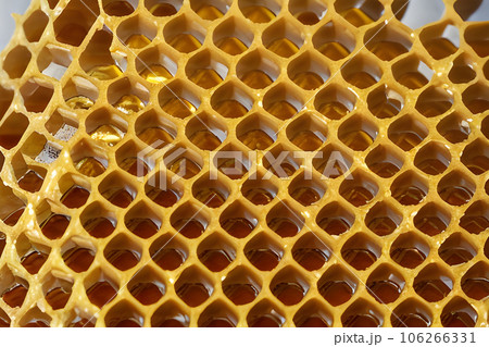 a stack of honeycombs is showcased in all its natural beauty the intricate 106266331