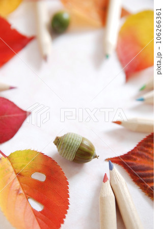 どんぐりと秋の葉と色鉛筆 106266361