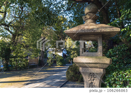 京都 木嶋坐天照御魂神社（蚕の社）参道風景 106266863