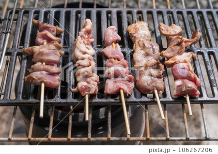 【オートキャンプ場でソロキャンプ 熾火で焼き鳥タン、ハツを焼く】 【オートキャンプ場でソロキャンプ 熾火で焼き鳥タン、ハツを焼く】 106267206