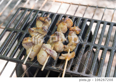 【オートキャンプ場でソロキャンプ 熾火で焼き鳥ぼんじりを焼く】 【オートキャンプ場でソロキャンプ 熾火で焼き鳥ぼんじりを焼く】 106267208
