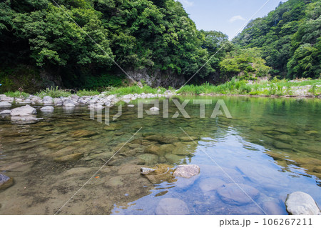 【真夏の道志川】 106267211
