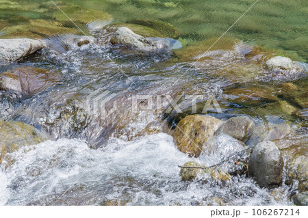 【真夏の道志川】 106267214