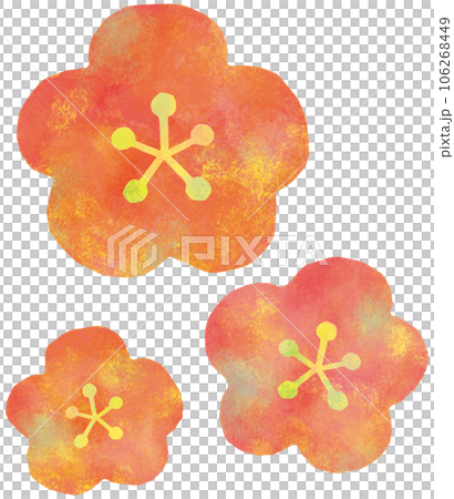 Plum blossom  106268449