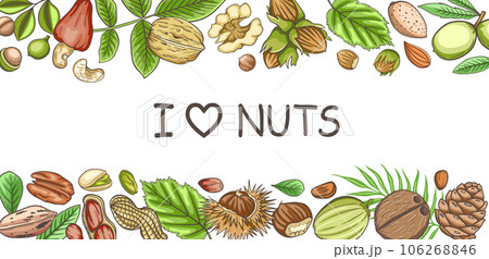 Background with various nuts and leaves. Background with various nuts and leaves. 106268846