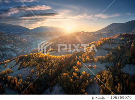 Aerial view of orange trees on the hill in mountains at sunrise 106269070