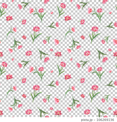 Garden pink double tulips ornate. Watercolor seamless pattern isolated on white background. Spring flower illustration for print, textile design, wrapping paper, scrapbooking, postcards Garden pink double tulips ornate. Watercolor seamless pattern isolated on white background. Spring flower illustration for print, textile design, wrapping paper, scrapbooking, postcards 106269136