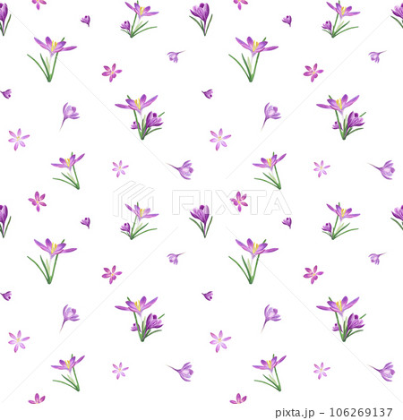 Ornate of lilac crocuses. Watercolor seamless pattern isolated on white background. Spring illustration for the design of textile, wrapping paper, scrapbooking, greetings, wedding cards Ornate of lilac crocuses. Watercolor seamless pattern isolated on white background. Spring illustration for the design of textile, wrapping paper, scrapbooking, greetings, wedding cards 106269137
