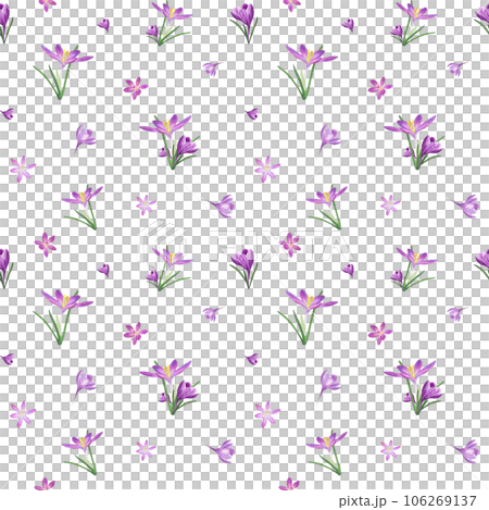 Ornate of lilac crocuses. Watercolor seamless pattern isolated on white background. Spring illustration for the design of textile, wrapping paper, scrapbooking, greetings, wedding cards Ornate of lilac crocuses. Watercolor seamless pattern isolated on white background. Spring illustration for the design of textile, wrapping paper, scrapbooking, greetings, wedding cards 106269137