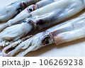 まな板の上の新鮮なイカ 106269238