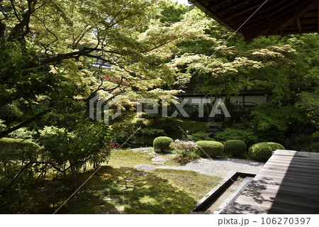 泉涌寺 御座所庭園 泉涌寺 御座所庭園 106270397