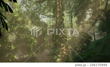 The beautiful scene of tropical rain forest The beautiful scene of tropical rain forest 106270999