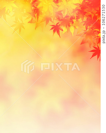 紅葉の壁紙 106271530