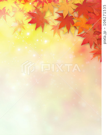 紅葉の壁紙 紅葉の壁紙 106271535