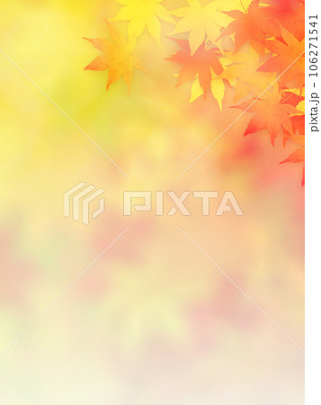 紅葉の壁紙 紅葉の壁紙 106271541