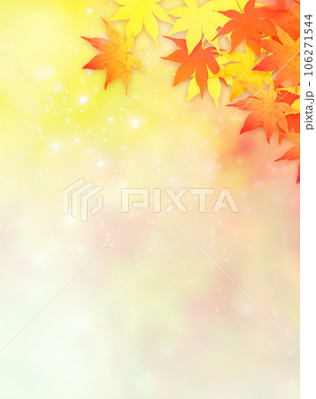 紅葉の壁紙 106271544