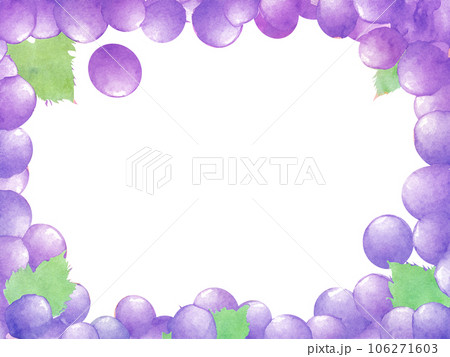 画面上下に広がる葡萄のフレーム 画面上下に広がる葡萄のフレーム 106271603