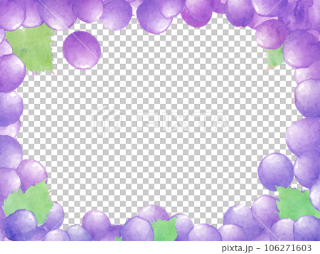 画面上下に広がる葡萄のフレーム 画面上下に広がる葡萄のフレーム 106271603