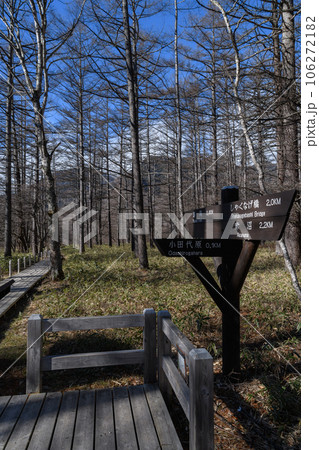 奥日光の初冬のハイキングコース 106272182