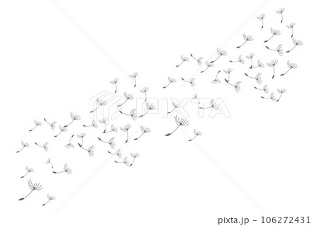 Dandelion Logo, Vector Plant Dandelion flower, Design Icon Template 106272431