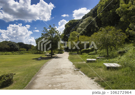 史跡小牧山　小牧山城址　散策路　愛知県小牧市 106272964