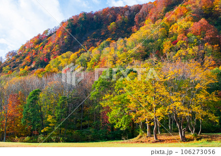 紅葉(秋田県・木地山高原にて) 紅葉(秋田県・木地山高原にて) 106273056