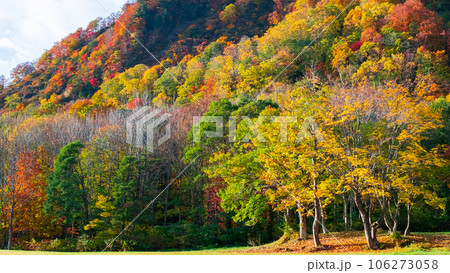 紅葉(秋田県・木地山高原にて) 紅葉(秋田県・木地山高原にて) 106273058