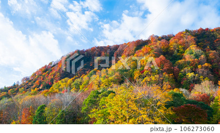 紅葉(秋田県・木地山高原にて) 紅葉(秋田県・木地山高原にて) 106273060