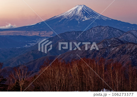 雁ヶ腹摺山から見る黎明の富士山 106273377