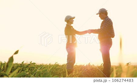 two farmers work tablet sun, farming, teamwork group people, contract handshake agreement sunset corn wheat, couple computer showing engineer examining silhouette brightly sign day shining discussing 106274483