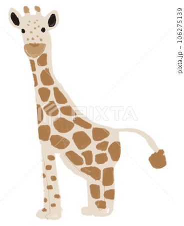 Giraffe  106275139
