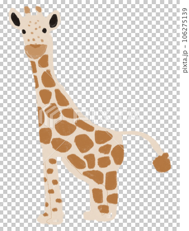Giraffe Giraffe 106275139