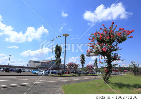 大館能代空港ターミナルビル 106275236