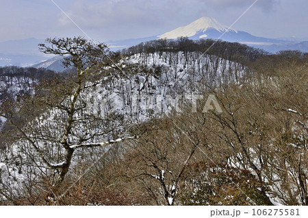 雪の丹沢山地　鍋割山稜の小丸より望む富士山と鍋割山 106275581