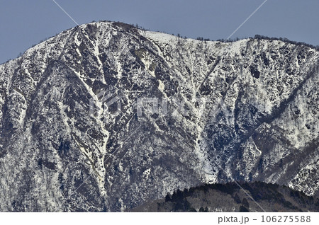 厳冬の丹沢山地　鍋割山稜より雪稜の蛭ヶ岳を望む 106275588