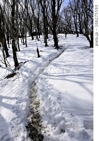 冬の丹沢 雪の鍋割山稜の尾根道 冬の丹沢 雪の鍋割山稜の尾根道 106275593
