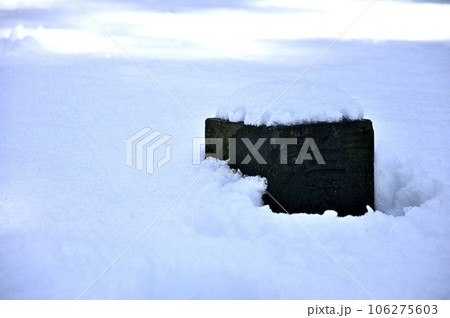 冬の丹沢 雪の栗ノ木洞山頂 雪に隠れる三等三角点(栗之木道) 冬の丹沢 雪の栗ノ木洞山頂 雪に隠れる三等三角点(栗之木道) 106275603