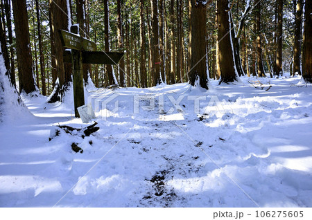 冬の丹沢 雪の栗ノ木洞山頂 冬の丹沢 雪の栗ノ木洞山頂 106275605