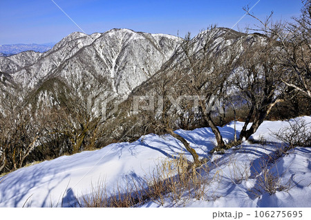 雪の丹沢山地　厳冬の塔ノ岳山頂より望む丹沢主脈 106275695