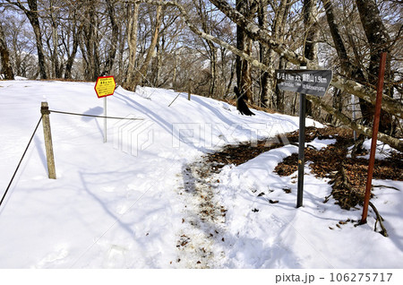 雪の丹沢山地 鍋割山稜の大丸山頂 雪の丹沢山地 鍋割山稜の大丸山頂 106275717