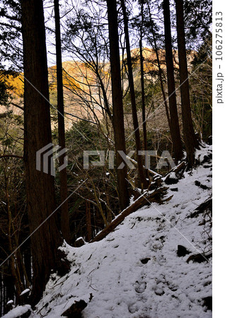 朝焼けの冬の山地　丹沢の小草平尾根より小丸尾根 106275813