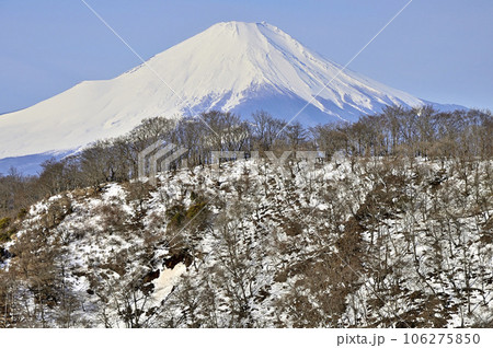 雪稜の向こうに聳える富士山 塔ノ岳の大倉尾根より望むの写真素材