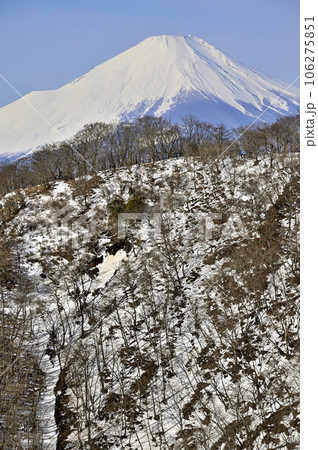 雪稜の向こうに聳える富士山 塔ノ岳の大倉尾根より望む 雪稜の向こうに聳える富士山 塔ノ岳の大倉尾根より望む 106275851