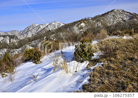 冬の丹沢山地　雪化粧した丹沢主脈と塔ノ岳 106275857