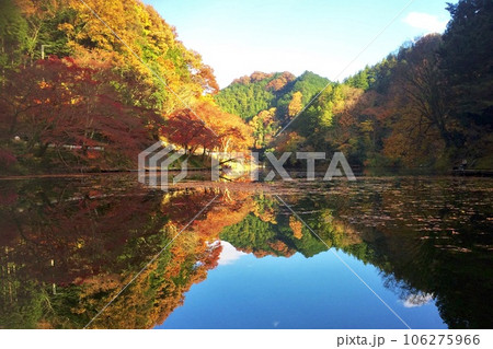 紅葉が反射する湖の風景【鎌北湖・山根溜池】埼玉県入間郡毛呂山町 紅葉が反射する湖の風景【鎌北湖・山根溜池】埼玉県入間郡毛呂山町 106275966