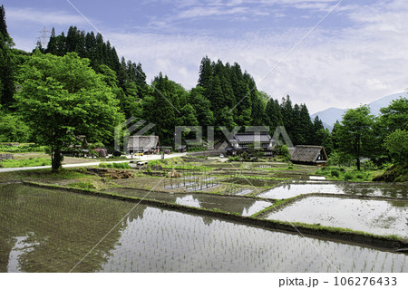 富山県　五箇山　相倉合掌造り集落　第1駐車場側の水田風景　世界遺産 106276433