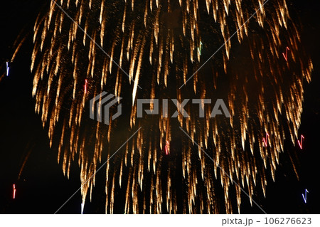 花火 106276623