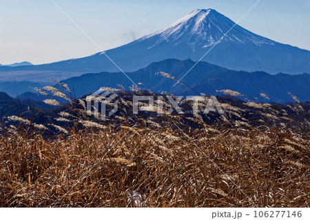 大菩薩連嶺・白谷ノ丸から見る冬の富士山 106277146