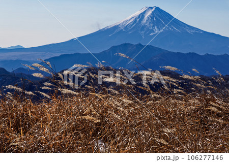 大菩薩連嶺・白谷ノ丸から見る冬の富士山 大菩薩連嶺・白谷ノ丸から見る冬の富士山 106277146