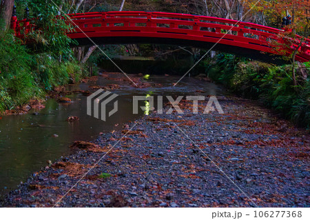 静岡県周智郡森町一宮 小國神社と境内の風景 静岡県周智郡森町一宮 小國神社と境内の風景 106277368